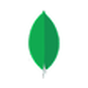MongoDB for Startups